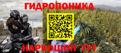 гашик Рязань