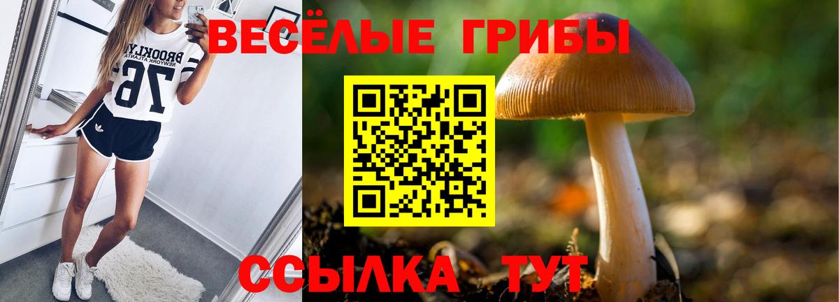 Сибай  Псилоцибиновые грибы Magic Shrooms  Галлюциногенные грибы Psilocybine cubensis  Вход с VPN 